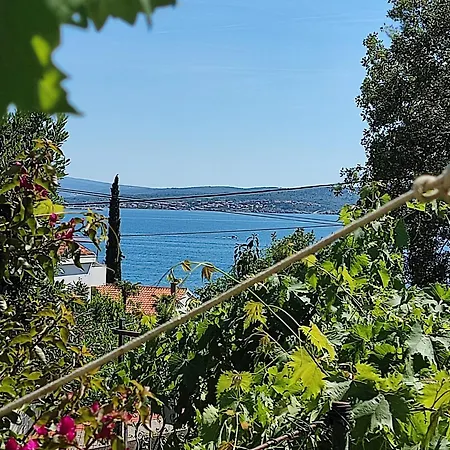 Garden-sea View With Terrace Apartment